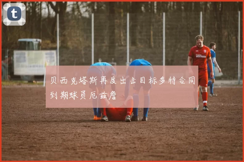 贝西克塔斯再度出击目标多特合同到期球员厄兹詹